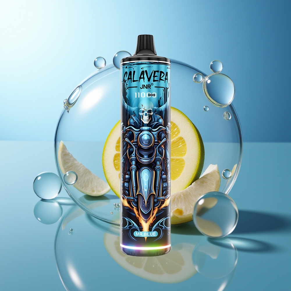 JNR Calavera 11000 Puff Tipo-C 850mAh Mr Blu