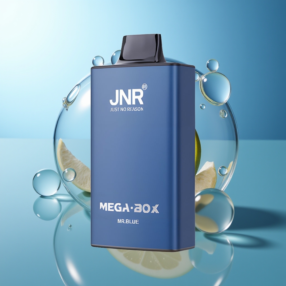 JNR Mega Box 25000 Puff Disposable Vape Blu Doppio Nucleo Tipo-C
