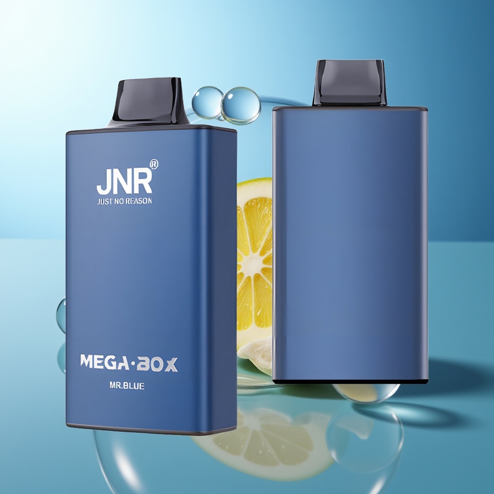 JNR Mega Box 25000 Puff Disposable Vape Blu Doppio Nucleo Tipo-C