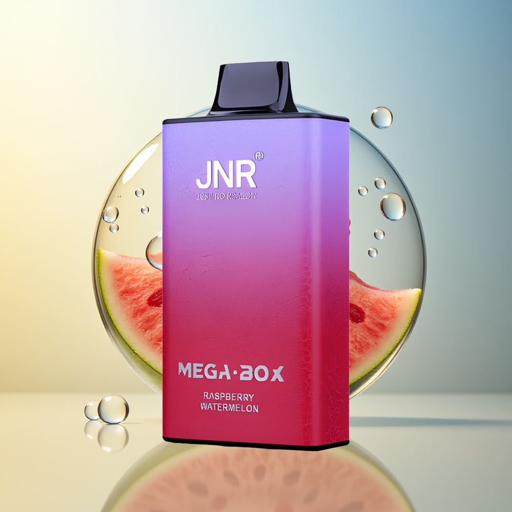 JNR Mega Box 25000 Puff Disposable Vape Lampone Anguria Dual Mesh Coil Type-C