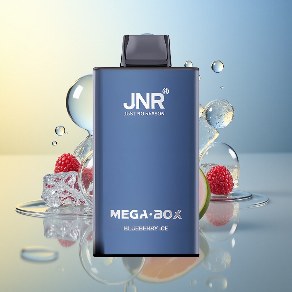 JNR Mega Box 25000 Puff Vapo Disposable Mirtillo Ghiaccio Dual Mesh Coil & Type-C