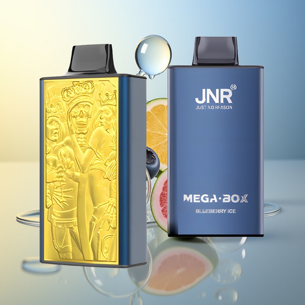 JNR Mega Box 25000 Puff Vapo Disposable Mirtillo Ghiaccio Dual Mesh Coil & Type-C