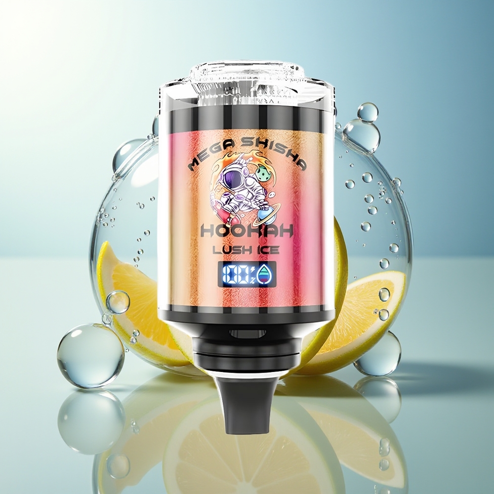 JNR Mega Shisha Hookah 100K Ghiaccio Lussureggiante 2200mAh Schermo Intelligente