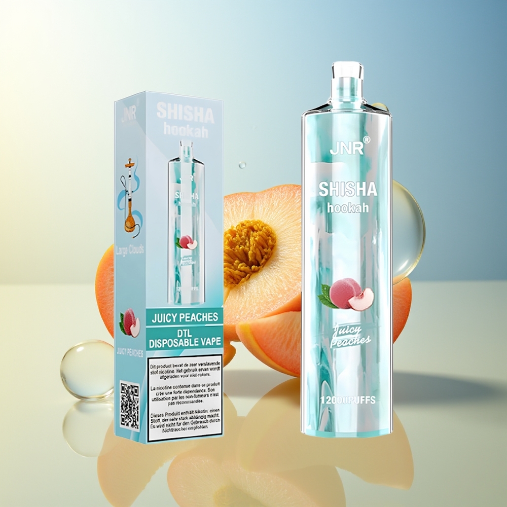 JNR Shisha Hookah 12000 Puff Pesche Succose con 750mAh e Tipo-C