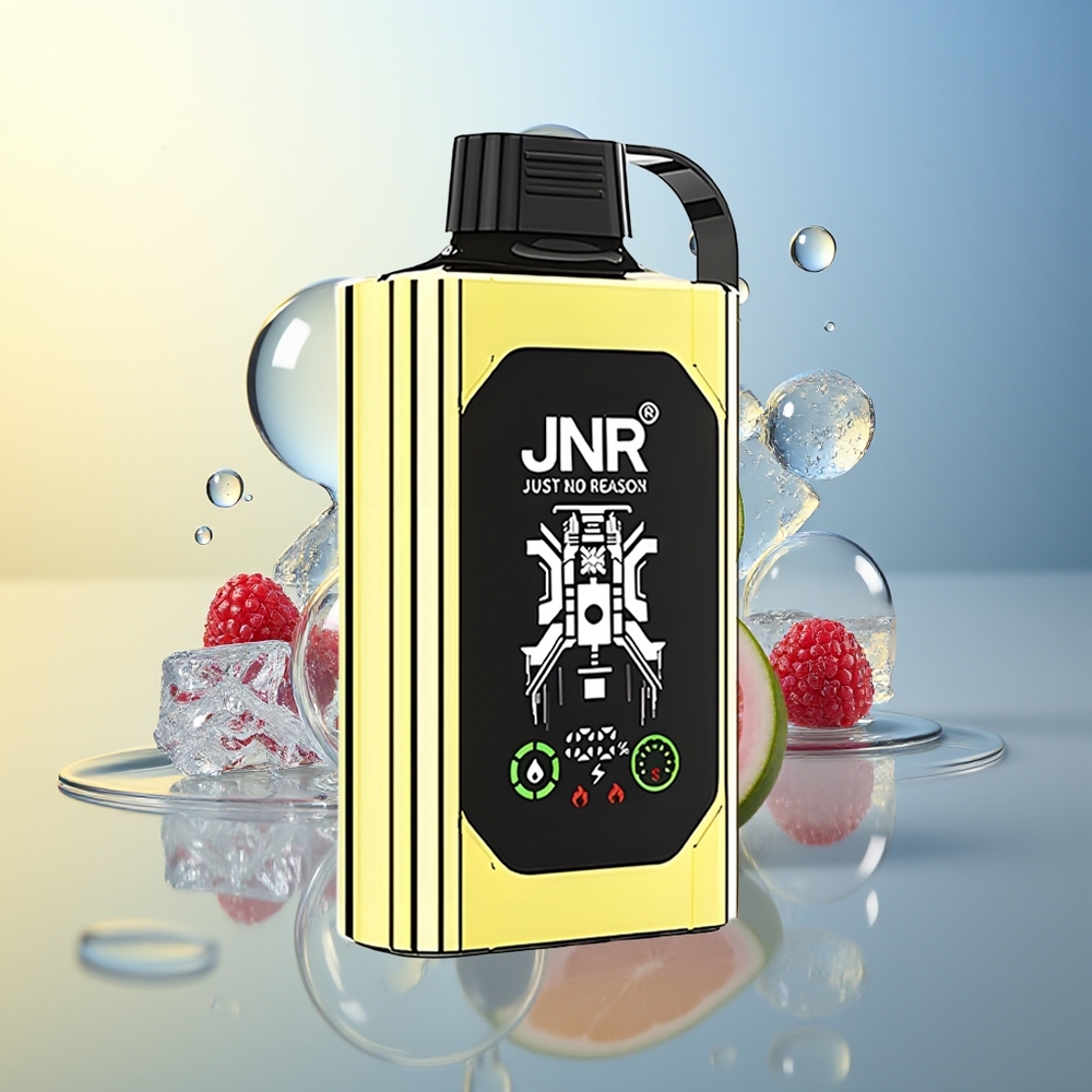 JNR Shisha Hookah Box 20500 Puff Mirtillo Ghiaccio Display HD Dual Mesh Coil