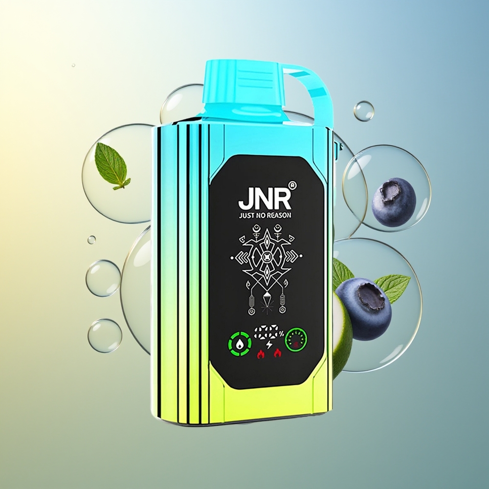 JNR Shisha Hookah Box 20500 Puff Mirtillo Menta Dual Mesh Coil