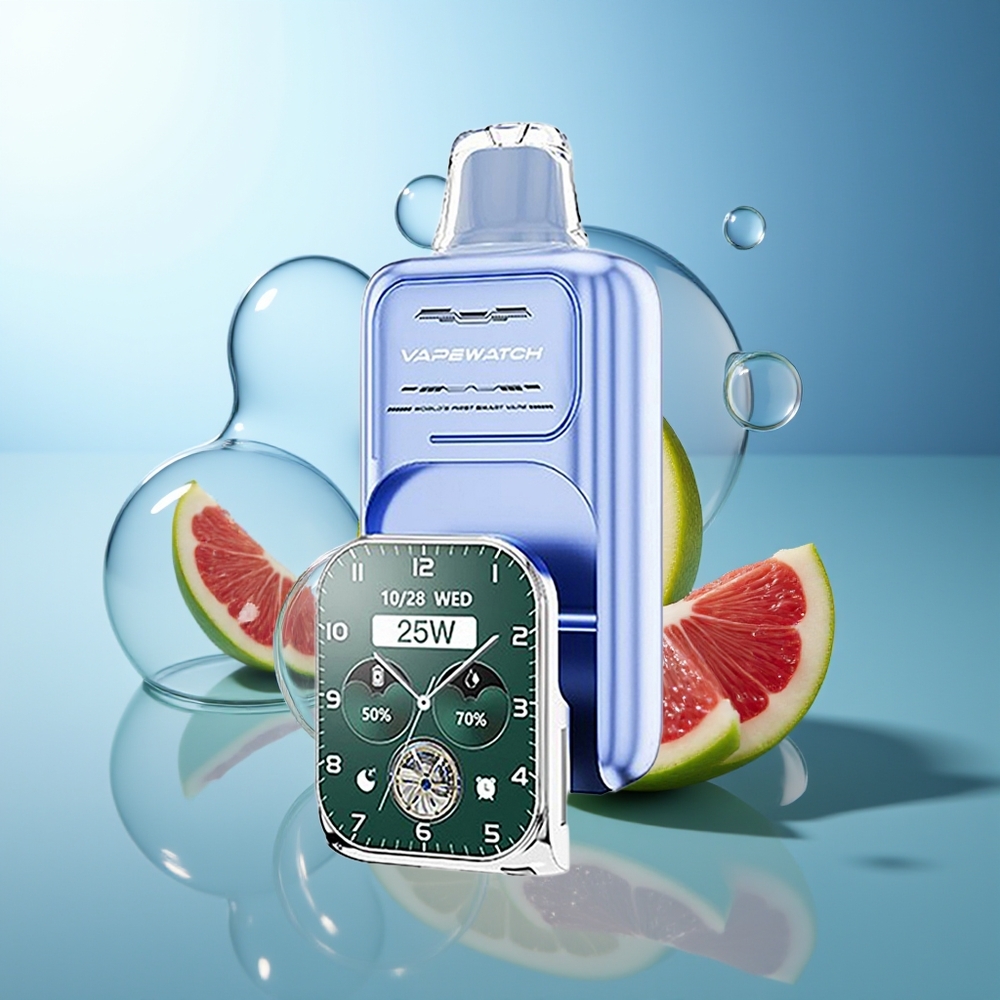 JNR VapeWatch 30000 Puff Dual Mesh Coil Blu Mirtillo Ghiaccio Dispositivo di Ricarica Rapida Type-C