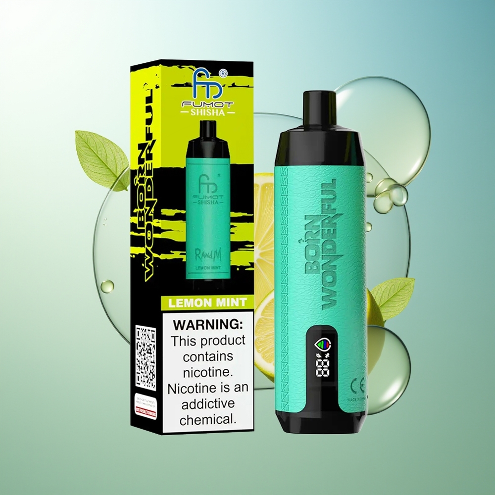 RandM Fumot Shisha 10000 Puff Dispositivo Vapo Monouso Limone Menta 18ml Tipo-C