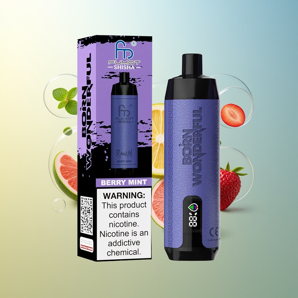 RandM Fumot Shisha 10000 Puff Sigaretta Elettronica Monouso Bacca Menta con 18ml e 0.5% Nicotina