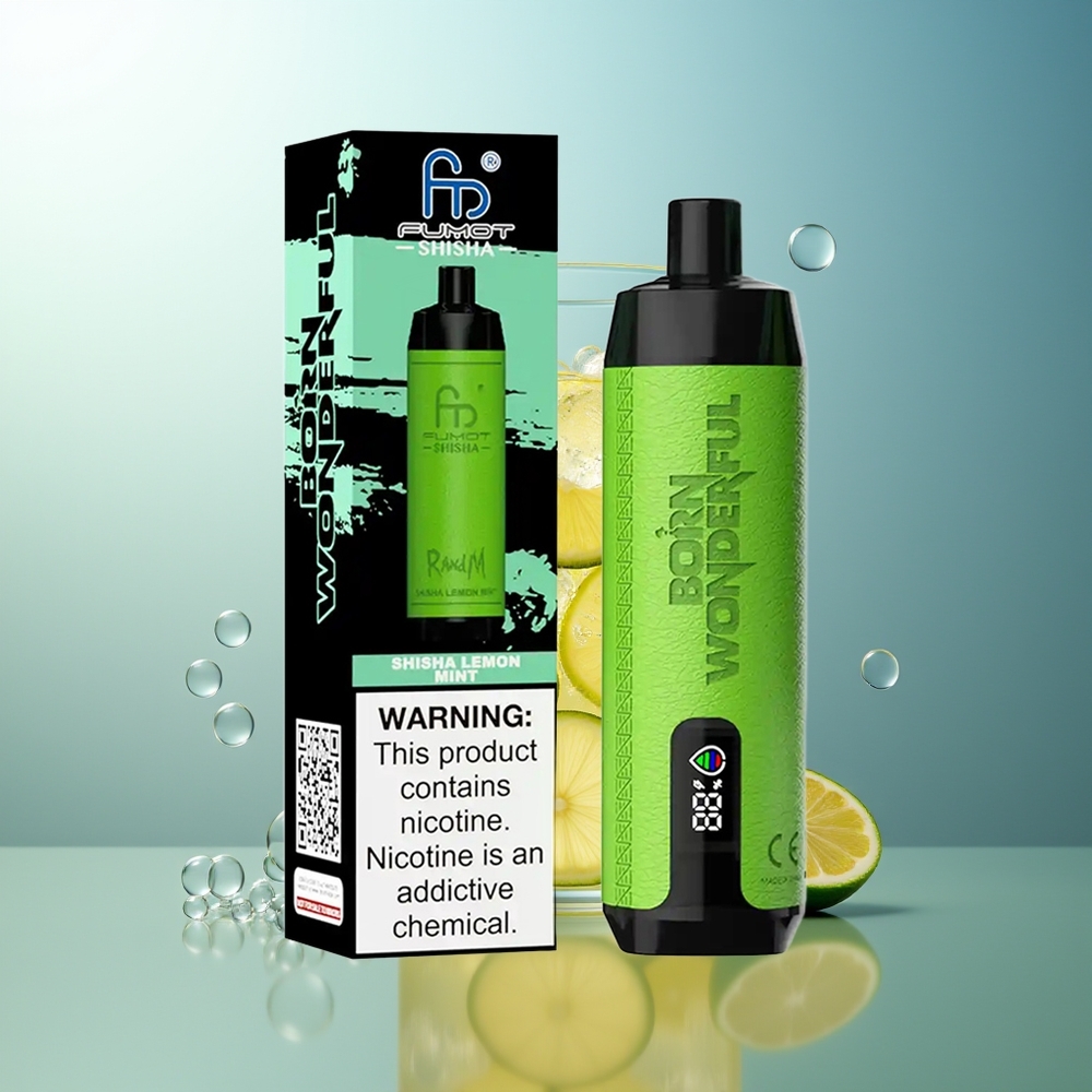RandM Fumot Shisha 10000 Puff Vape Limone Menta con LED e Type-C